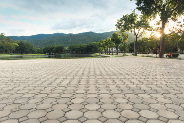Trusted Lyons, GA Driveway Pavers Experts